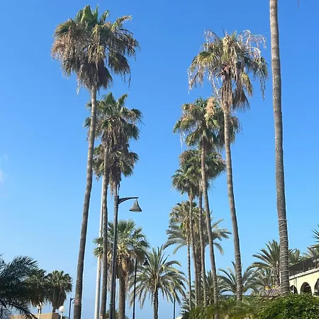 2 Bed With Pool Views In Americas K201