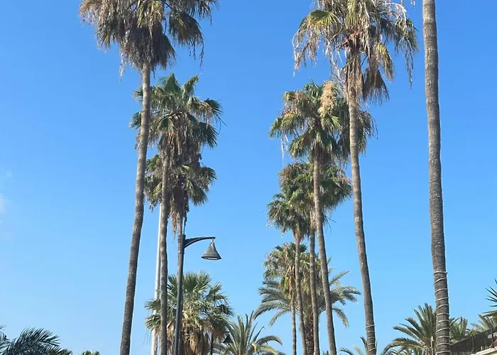 2 Bed With Pool Views In Americas K201